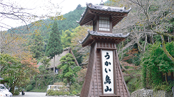 ホームページをリニューアルしました